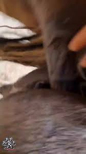 Zee (@ZeeDerg)  Posts  X