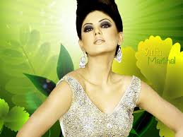 Haqs Musings: Pakistans Top Fashion Models