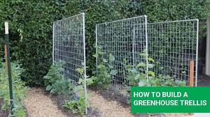 Fix the battens to the fence or wall at the points where the top and bottom of your trellis will sit. How To Build Diy Trellis For Greenhouse Vegetables And Fruits