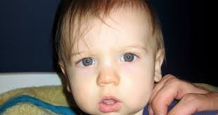 Put Up Your Dukes: you have GOT to be kidding me