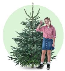 Beachten sie diese 11 tipps! Dahoam Christbaumkaufen Tannenland Shop