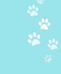 Dog Cute Backgrounds Cute Backgrounds Cute Backgrounds Paw Background Flowery Wallpaper