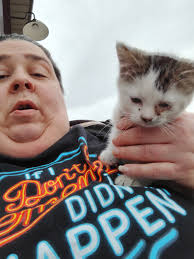 Crawford County Insider