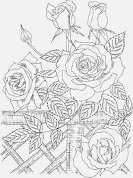 Nature Coloring Pages Rose Coloring Pages Free Adult Coloring Pages Coloring Pages