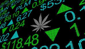 These 3 Marijuana Stocks Are Flailing Strong Buy Signals