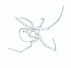 How to draw a big mouth pumpkin (folding surprise). How To Draw A Black Widow Spider Step By Step Sketchbooknation Com