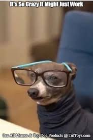 Funny Dog Memes Part 14 Funny Dog Memes Dog Memes Funny Dogs