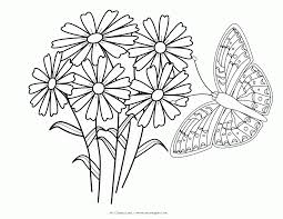 Whitepages is a residential phone book you can use to look up individuals. Best Photos Of Butterfly With Flowers Coloring Pages Butterfly Coloring Library