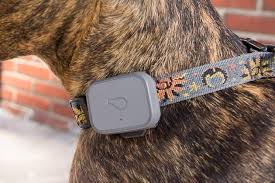 Gps tracker for cats and for cats only. The Best Gps Trackers For Cats And Dogs For 2021 Reviews By Wirecutter