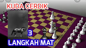 Problem catur istilah problem catur bagi sebagian orang mungkin ada yg belum mengetahui gak ada kunci jawaban. Problem Catur 3 Langkah Mat Kembali Sepasang Kuda Putih Menjepit Raja Hitam Sampai Kepojok Youtube
