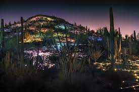 Fields Of Light Phoenix Az Desert Botanical Gardens Light Sculpture Desert Botanical Garden Light Sculpture Botanical Gardens