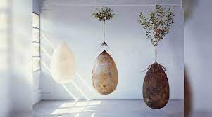 Basically, you have three options: Imagine You Could Become A Tree After You Die Here S An Eco Friendly Burial Idea Trending News The Indian Express