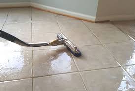 Mix together the baking soda, hydrogen peroxide and dish soap. Tiles Grout Cleaning Tiles Polishing Famous Cleaning