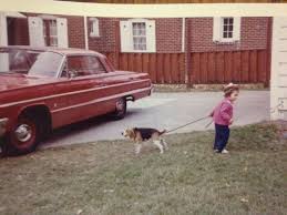Horseshoe lake animal hospital 5230. Alexis Strode Veterinarian Vca Animal Hospitals Linkedin