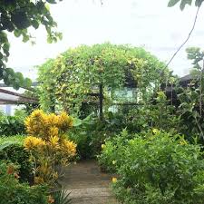 Sie waren bereits in the secret garden utama?teilen sie ihre erfahrung! Photos At Secret Garden One Utama 235 Visitors