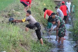 Gambar bunga mawar untuk mewarnai anak tk; Foto Gotong Royong Melawan Sampah