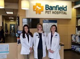 Página oficial del club atlético banfield. Veterinarians In Edina Mn Banfield Pet Hospital
