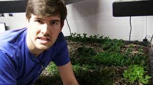 For flowering plants, avoiding pots six inches diameter or smaller in favor of those that hold a few gallons will help plants produce lots of beautiful blooms. Everything You Know About Required Soil Depth Is Wrong Youtube