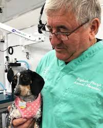 Remembering Dr. Prosek