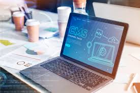 5 Common Myths About Custom Software Development Busted