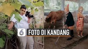 Are you searching for sh terate png images or vector? Berita Foto Prewedding Hari Ini Kabar Terbaru Terkini Liputan6 Com
