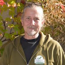 Happy End für übergewichtiges Krokodil: Knöpfchen findet neues Zuhause