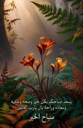 Image result for tbn:fWFGfe7mxNEQKM::www.feamman.com/wallpapers/Img-82755.jpg