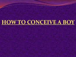 Diet to conceive a boy: Positions Diet To Conceive A Boy Youtube