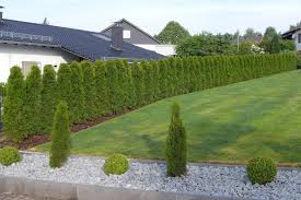 Thuja Smaragd Hecke House Landscape Backyard Landscaping Backyard Landscaping Designs