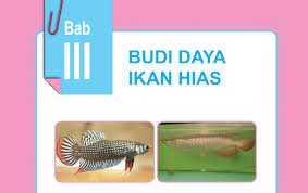Ikan dapat ditemukan di hampir semua genangan air yang berukuran besar baik air tawar, air payau. Kumpulan Soal Dan Jawaban Komoditas Ikan Hias Prakarya Kelas 9 Jawabanku Id