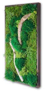 18x36 Real Preserved Moss Wall Art With Driftwood No Etsy Moss Wall Art Moss Wall Nature Decor