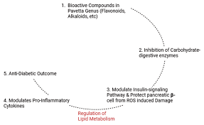 Image result for Pavetta sp. F