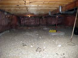 A vapor barrier is a key component to defend your home from excessive levels of moisture, humidity and mold growth. The Cleanspace Crawl Space Vapor Barrier System