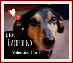 Get the perfect birthday greeting, invitation, announcement and more. Top Dachshund Valentine Day Cards That Are Real Wieners