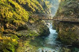 The vintgar gorge is 1600 m long and till 250 m deep gorge on the eastern part of triglav national park, 4 kilometers northwest from the center of bled. Circular Walking Route Through The Vintgar Gorge Hiking Route Outdooractive Com