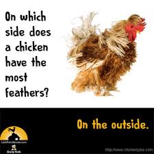 Birds Of The Same Feather Joke On Which Side Does A Chicken Have The Most Feathers On The Outside Jokes For Kids Lame Jokes Silly Jokes
