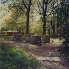 Beverly Buchanan Ruins And Rituals Concrete And Found Elements Museum Of Arts And Sciences Macon Ga 1979 Land Art Art Museum Native Indian