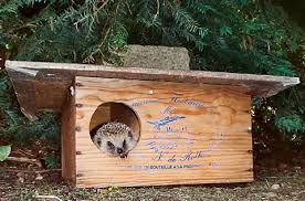 Many humans love to have a look at their neighbors adorable gardens within the spring and summer or chat with their pals as their associates work in their gardens and they suppose how pleasant itd be to have a lovable lawn of their very own, but assume that. Fur Fachleute Und Interessierte Igelzentrum