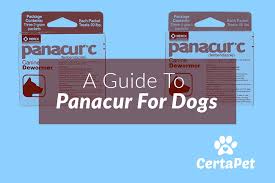 A Guide To Panacur C Panacur For Dogs Certapet