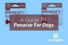 a guide to panacur c panacur for dogs certapet