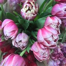 Send same day flowers to usa : Sendsomeoneflowers Instagram Posts Photos And Videos Picuki Com