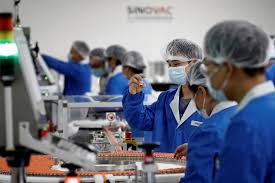 The vaccine is approved for use in china and to create coronavac, the sinovac researchers started by obtaining samples of the coronavirus from patients in china, britain, italy, spain and switzerland. Sinovac Coronavirus Vaccine Offered By Chinese City For Emergency Use Costs 60 Reuters
