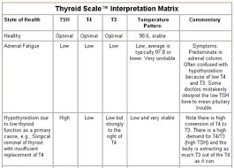 thyroid scale overview