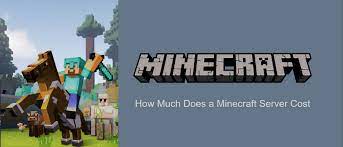 If you want the server to run close to 24/7 and you dont want to use your pc there are generally two options available to you. How Much Does A Minecraft Server Cost Complete Beginners Guide