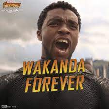 Black Panther On Instagram Wakanda Forever Infinitywar Black Panther Marvel Marvel Quotes Black Panther