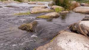 The only states without cinemas are perlis and kelantan. Sungai Sedim Is A Recreational Stock Footage Video 100 Royalty Free 1018167412 Shutterstock