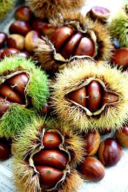 Maravillosas Castanas Recogerlas Es Una Odisea En 2020 Frutas Exoticas Campos De Fresas Frutas Y Verduras Beneficios