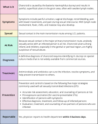Image result for chancroid