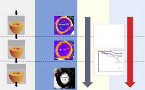 The Heart Valve Society