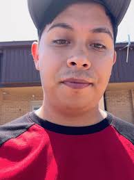 Preparativos para limpiar la casa y lidiar con abejas